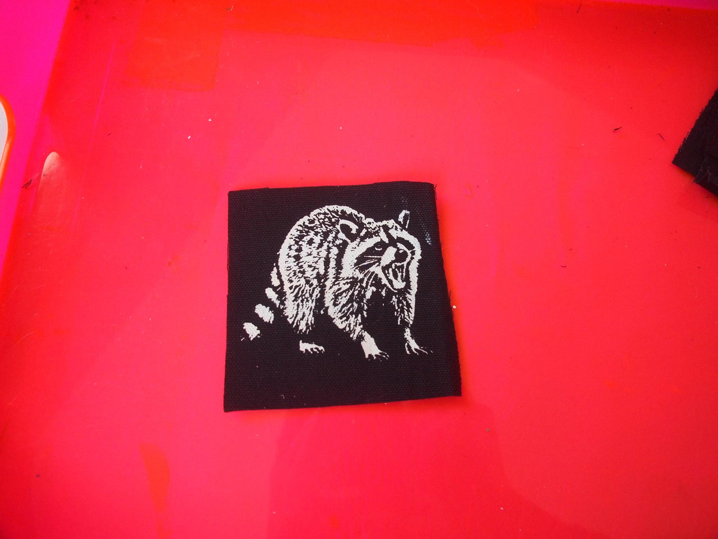 Yelling Scowling Raccoon Patch