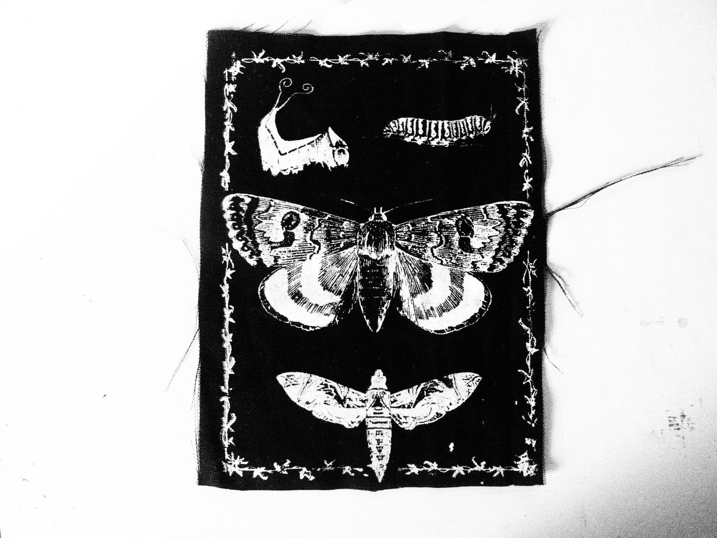 Butterfly Moth Caterpillar Back Patch