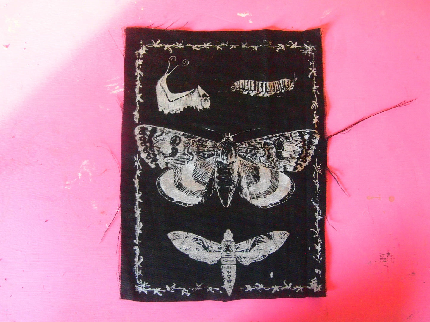 Butterfly Moth Caterpillar Back Patch