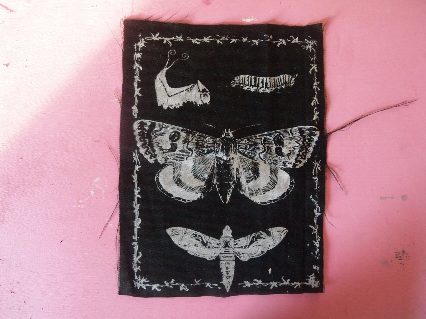 Butterfly Moth Caterpillar Back Patch