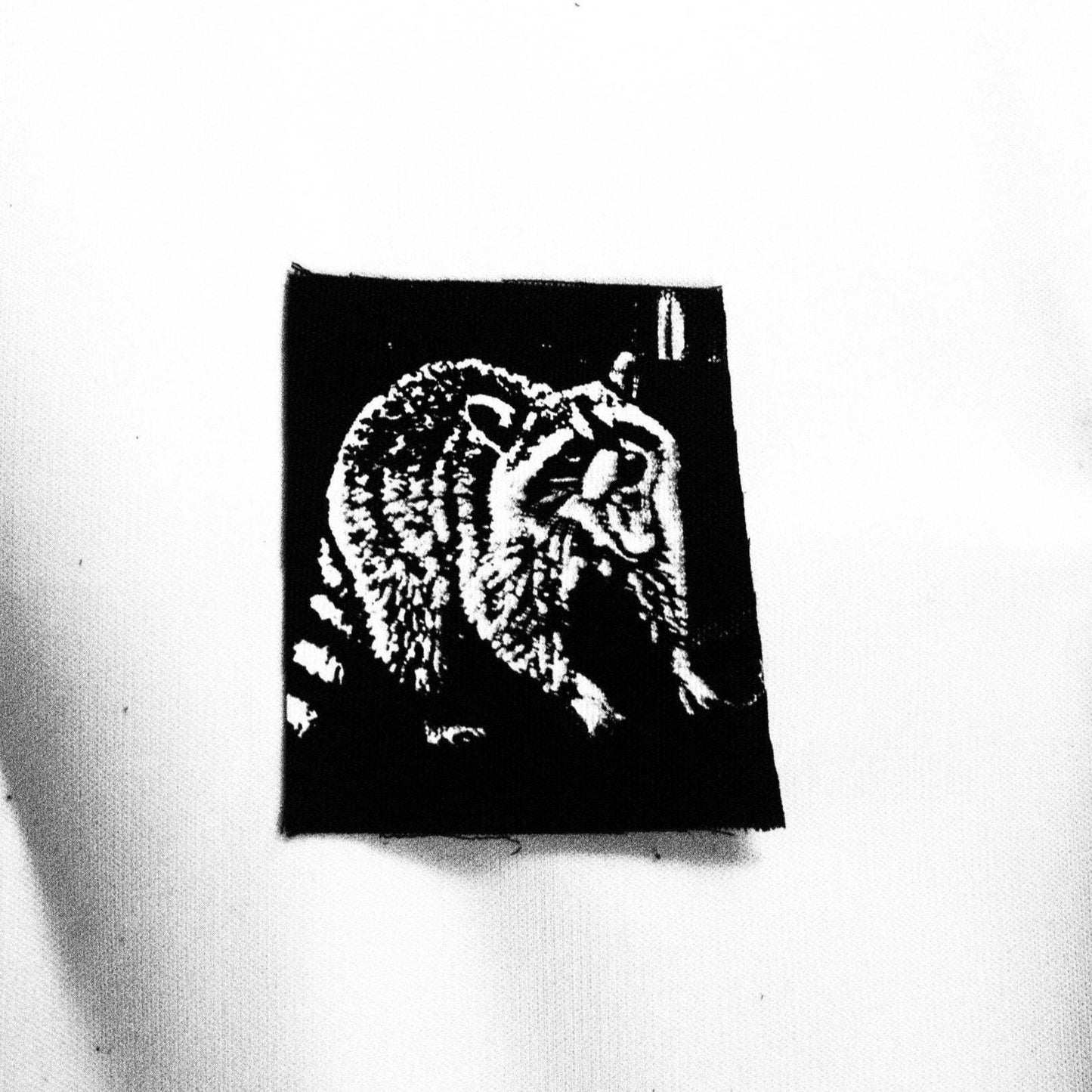 Yelling Scowling Raccoon Patch