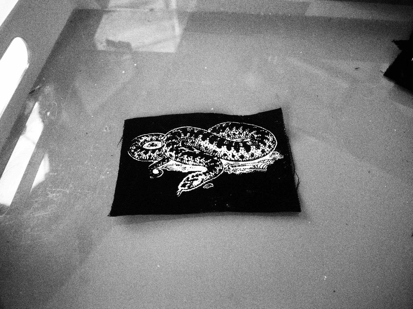 Coiled Rattlesnake Illustration Patch