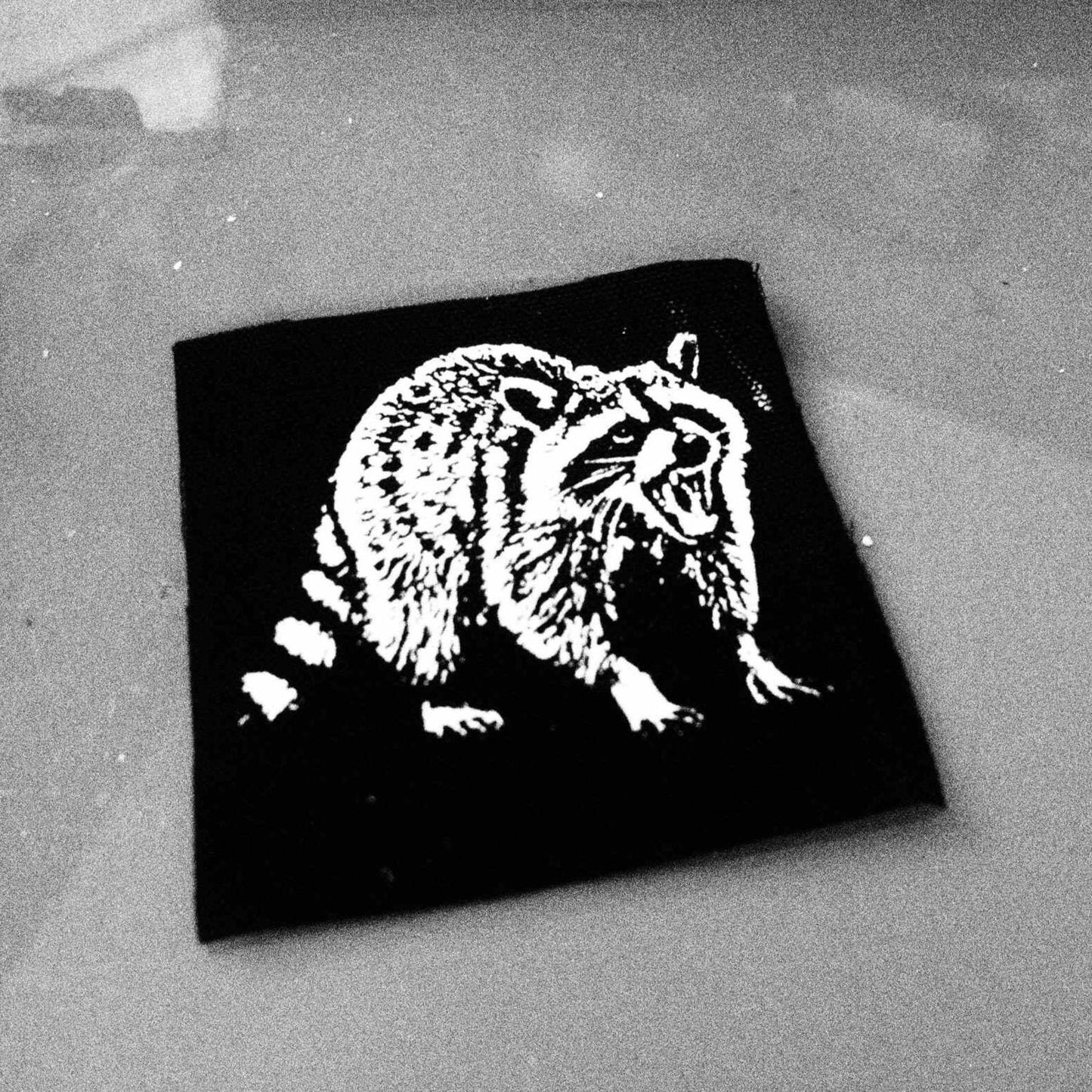 Yelling Scowling Raccoon Patch